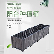 �������̨�Nֲ�����⻨�軨�@ͥԺ�Nֲ�����N�ˌ�����Nֲ��