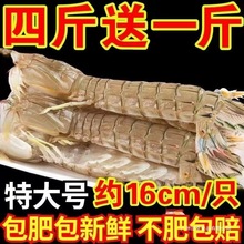 ƤƤ�r�r��һ���r���ӳ���ƤƤ�r���r���r���r����ȫĸ����ƤƤ�r