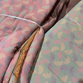 色织、提花布;印花、扎染布;其他棉类面料