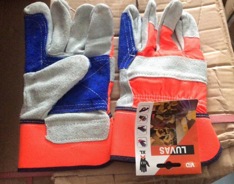 IMG_3255(20220617-113317)