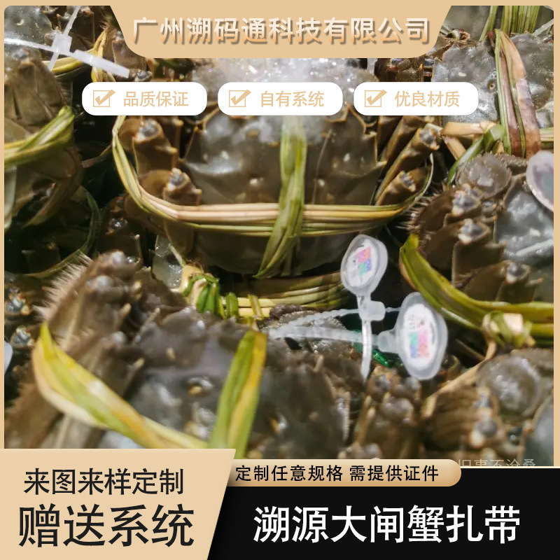 生鲜溯源防伪扎带大闸蟹扣鸡脚扣变动二维码印刷一物一码扎带定制