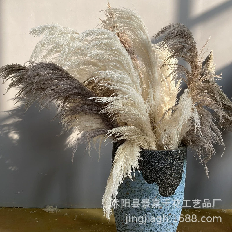 Nordic ins Reed Iron Reed Bamboo Большой цветочный букет Напольные украшения Декоративные реквизит для живых фотографий