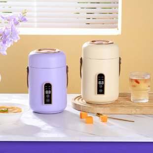 Multifunctional Electric Stew Pot for Home Use, Small Electric Stew Cup, Portable Mini Porridge Maker, Porridge and Soup Electric Stew Cup