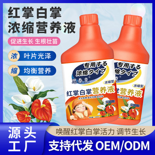 Stecher Anthurium and White Anthurium Special Nutrient Solution for Flowering Fertilizer, Water Cultivation, and Potted Plant Nutrient Solution Manufacturer Wholesale Fertilizer