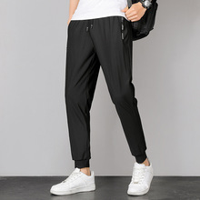 2023�ļ��ߙn���z͸���Lѝ��ʿ�ļ������\�����eѝ�����ٸɱ��zѝ