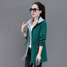 �羳�|�ρ�Ů�b�����p�洩�L��Ů���L��2024�＾�¿�A�����stoc