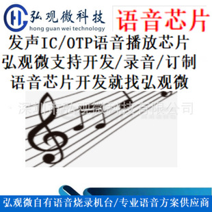 NY3P035J Jiuqi Voice Covering Chip DIE Nine Qi -level Agents Support Development Burning OTP