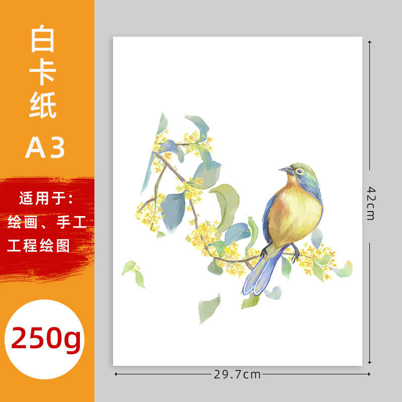 Cartón abierto engrosado holandés cartón blanco Aa cartón grueso duro KK marcador pintura papel color plomo papel blanco