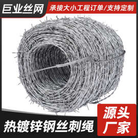 低碳钢丝刺绳不锈钢防爬刺铁蒺藜丝网养殖防护隔离围网户外防盗网