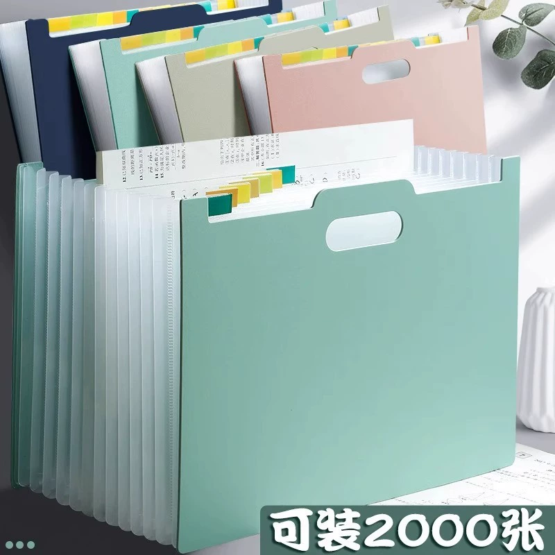 Capacious organ, storage system for documents, folder, storage bag for elementary school students