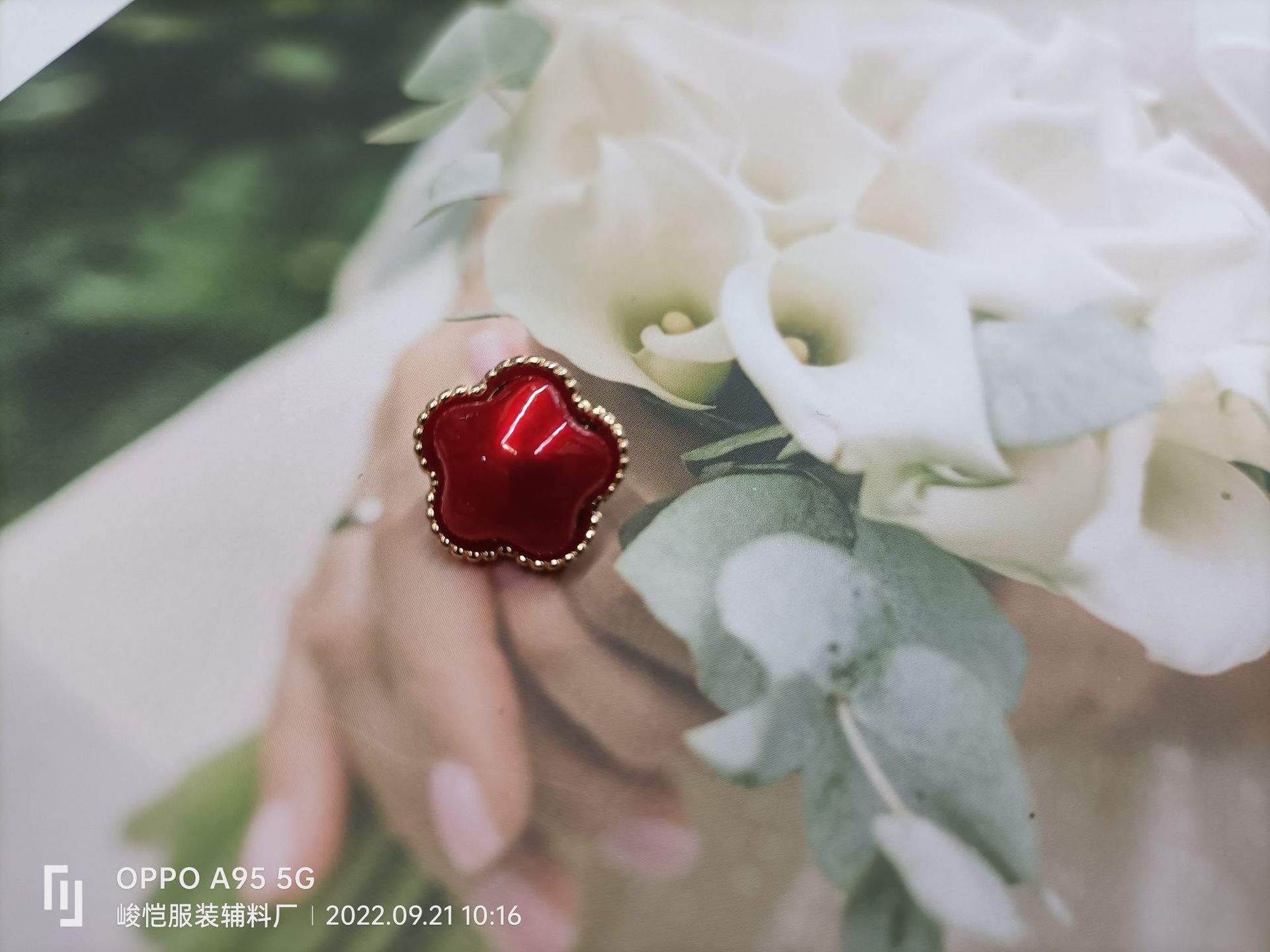 fff758bc53574a7556dab5e8564223