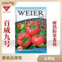 耐熱大粉果番茄種子 百威九號 夏秋西紅柿種籽抗TY豐產耐裂耐運輸