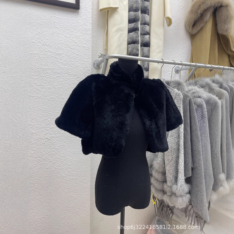 Fur Integrated Stand Collar Short Rex Rabbit Fur Integrated Outwear for Women 2025 Autumn and Winter New Product