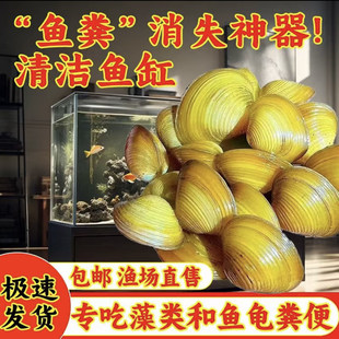 �S��͘��͘Ϫ͘С�Ӱ��S���ݳ����^�p�~�׳��~�S�������坍��ˮ