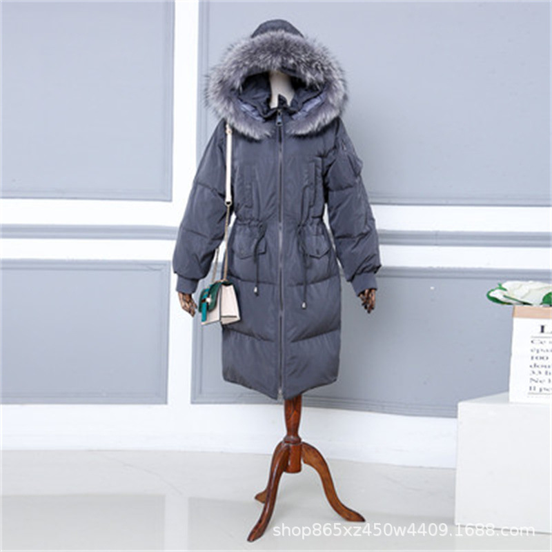 12872120215_762384599.400x400.