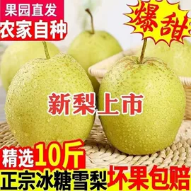 西式糕点;膨化;传统糕点