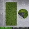 Light color immortal ground moss sheet 1*m