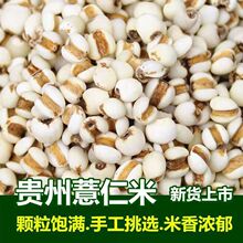 ����؛���F���d��޲�����r��޲����������������s�Z��؛500g���l