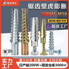 厂家直销蓝白锌锯齿壁虎金属膨胀管批发M5-M10彩锌壁虎带刺膨胀管
