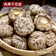 ��Ģ���I�B�����ľ�r�һ������r�������㹽��؛500gҰ��