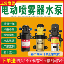 電動噴霧器水泵高壓小型12V馬達隔膜泵電機農用打葯機配件大全