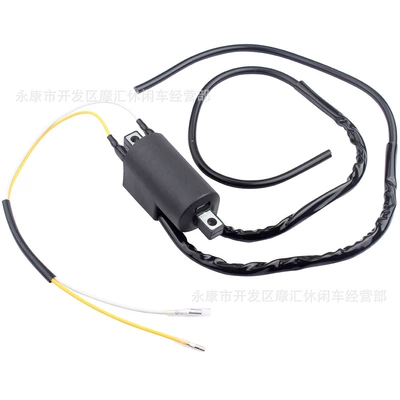 Motorcycle Suitable for Suzuki Gsf400 Gsf600 Gsf1200 Bandit High-Voltage Ignition Coil