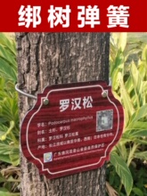 ���Ə��� ��������304���P䓲����P����s����Kչʾ�� ��