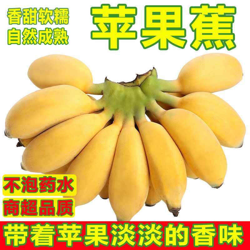 Fujian Earthen Apple M banana Season fresh fruit Apple Bananas fruit Guangxi millet wholesale