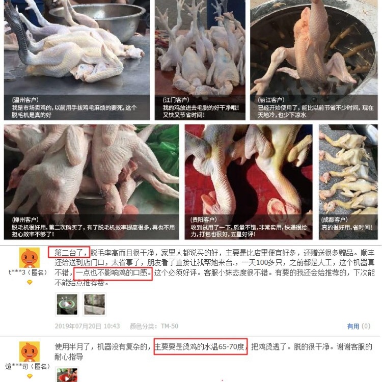 Máquina de depilación de aves de corral comercial de eliminación de caparazones máquina de depilación de caparazones mini máquina automática de depilación de acero inoxidable