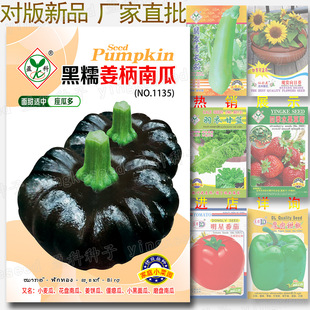 ��Ŵ�����ϹϷN�� �s10����ɫ�����ϷN�� �������P�Ϲ� ĥ�P�Ϲ�