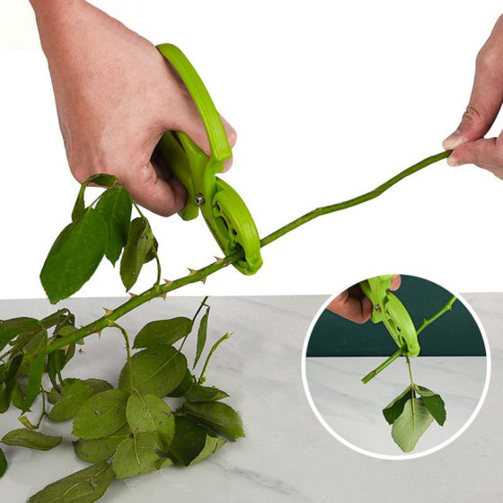 Multi-functional flower shop pruning leaves pruning flower arrangement flower cultivation can be changed blade multi-functional flower scissors
