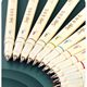 Dianshi soft painting pen soft head Xiuli pen student journal painting watercolor pen calligraphy art Hook pen DS-827