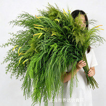 婚庆仿真绿植造景绿色仿真花场景布置森系龙须草叶子芦荀草假花