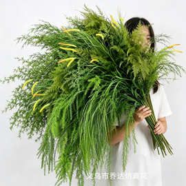 婚庆仿真绿植造景绿色仿真花场景布置森系龙须草叶子芦荀草假花