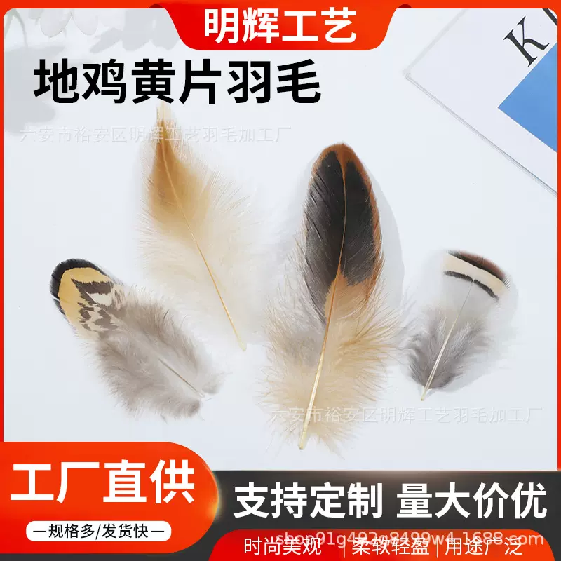 地鸡黄片羽毛DIY饰品捕梦网装饰配件逗猫棒饰品天然自然色石鸡毛