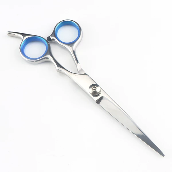 White hat blue circle flat cut