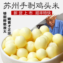 �����ք����u�^�����r�K�����������r�͌�100g*8�� ��S