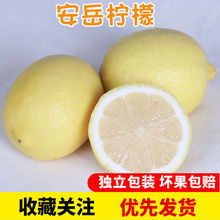 檸檬批發四川安岳黃檸檬水果多規格新鮮薄皮當季水果整箱泡水跨境
