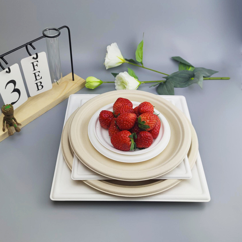 Sugarcane Pulp Disposable Round Tableware 9inch 10inch Paper Plates Pulp Molded Party Trays Biodegradable Bento