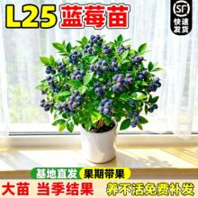 L25�{ݮ������ͺ��{ݮ���ļ��Y���Ϸ������Nֲ�ش�̖����������