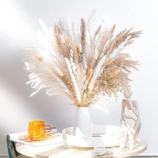 Natural Small Reed Pampas Real Flower Immortal Flower Rabbit Tail Simple Home Bed and Breakfast Decoration Cross-Border Bouquet Soft Decoration Wholesale