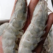 ŹɣζϺ20-30;3.3 6 ䷢ 