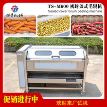 大姜去皮清洗机 土豆脱皮机 山药削皮机 毛辊清洗去皮机厂家