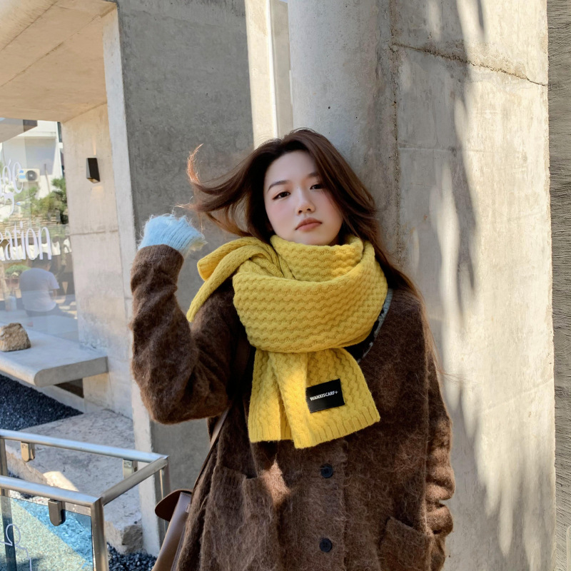 Solid Color Thick Wool Knit Scarf NSCM101560