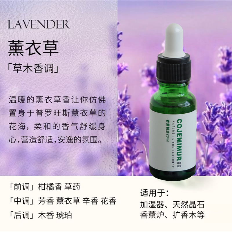 라벤더(꿈의 프로방스)