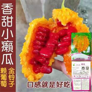 ˮ��С�]�Ͻ����ه���ѷN���S��С����ļ������̨����ˮ���N��