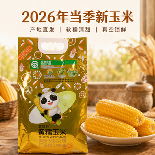 �S������Ŵ�������r�^��ܛŴ�������������l���S�����ּZ��������