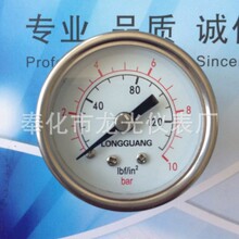 ӦLONGGUANGƷY40ȫֳ304ѹ0-10KGС