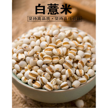 ��޲������ɴ�t���t��޲���׼t��޲����I�B�����������s�Z