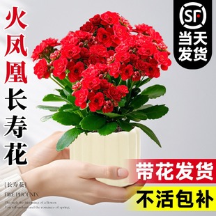 ���P���L�ۻ����Ԏ������ذ�󻨻����ļ��_���ܾGֲ���FƷ�N��ȫ